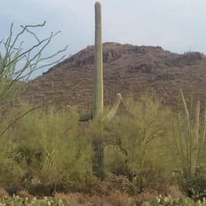 Meet your Posher, Wendy